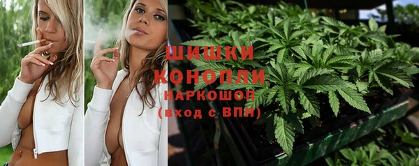 гидропоника Белокуриха