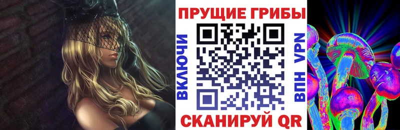 мега tor  Шахунья  Псилоцибиновые грибы MAGIC MUSHROOMS 