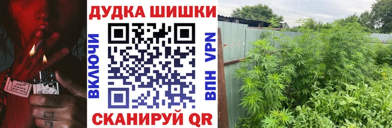 дарк нет Telegram  сколько стоит  Шахунья  МАРИХУАНА гибрид 